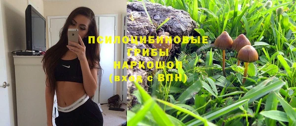 a pvp Абинск