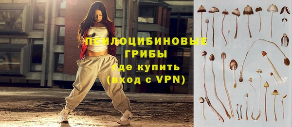 a pvp Абинск